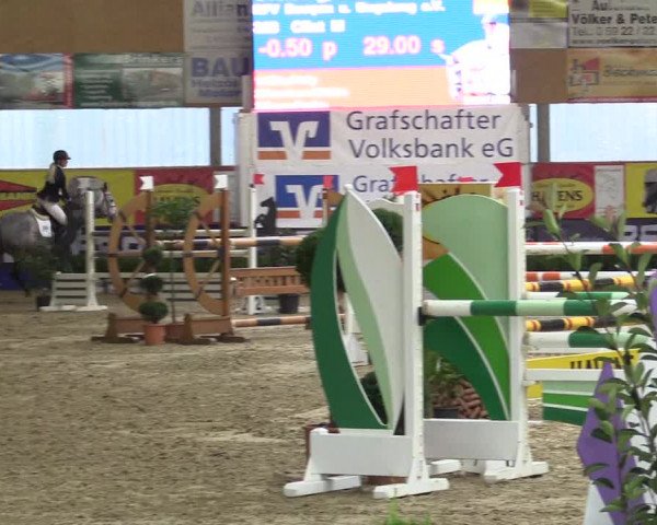 Springturnier Isterberg 2016