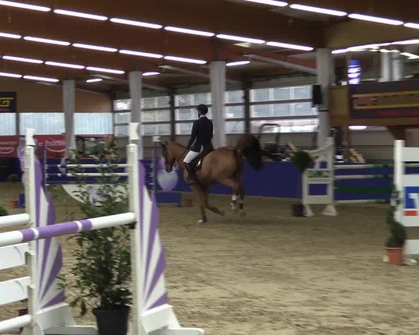 Springturnier Isterberg 2016