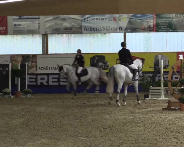 Springturnier Isterberg 2016