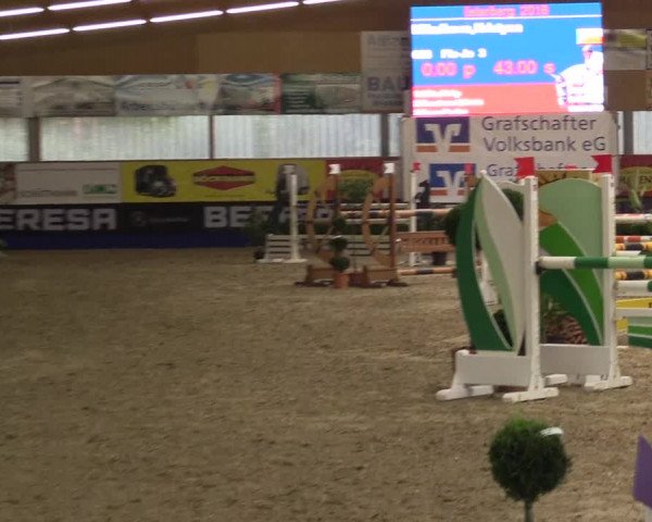Springturnier Isterberg 2016