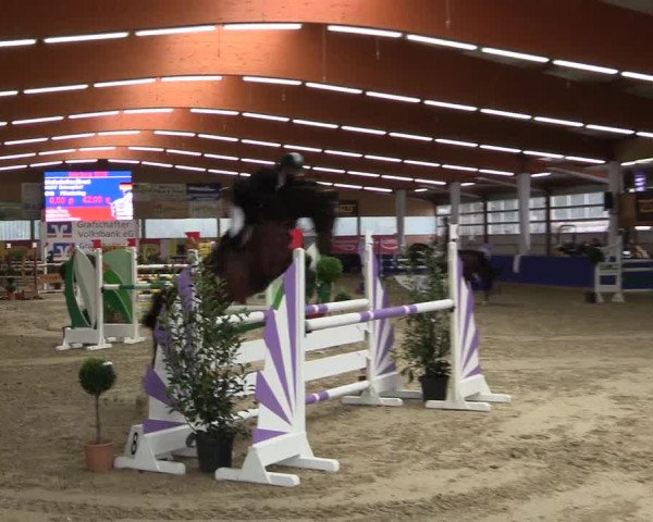 Springturnier Isterberg 2016