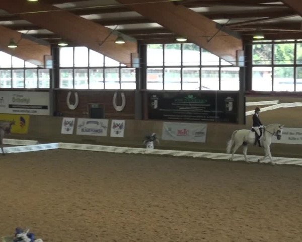 Reitturnier Köln-Leverkusen 2016