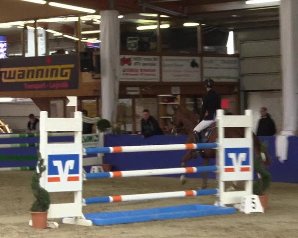 Springturnier Isterberg 2016