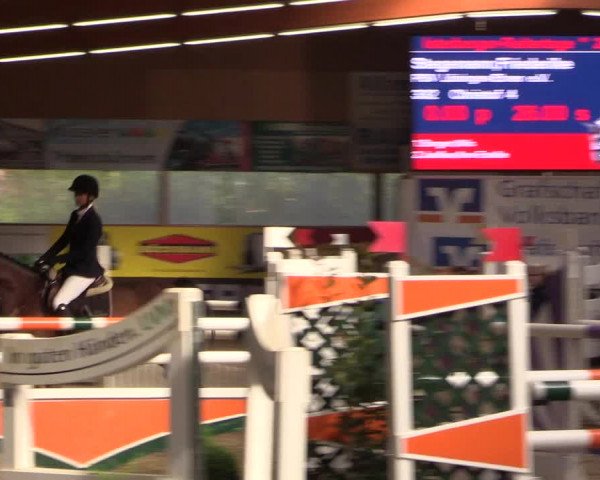 Springturnier Isterberg 2016