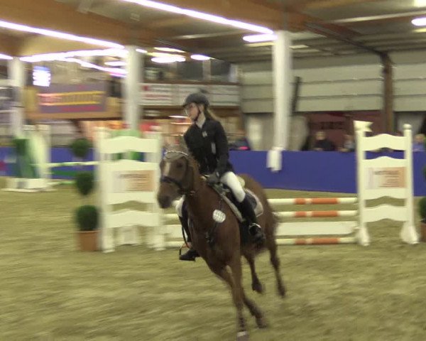 Springturnier Isterberg 2016