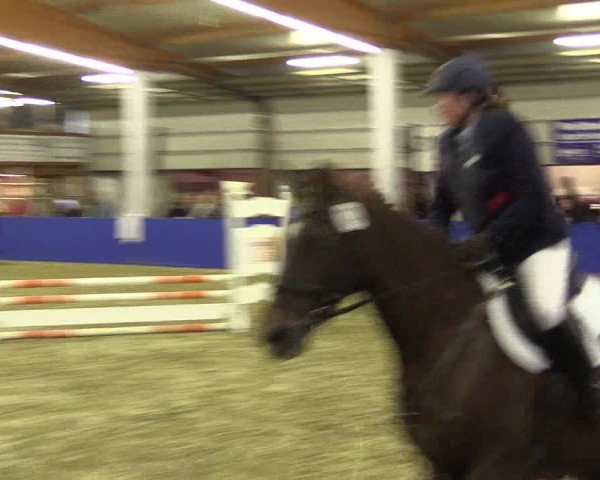 Springturnier Isterberg 2016