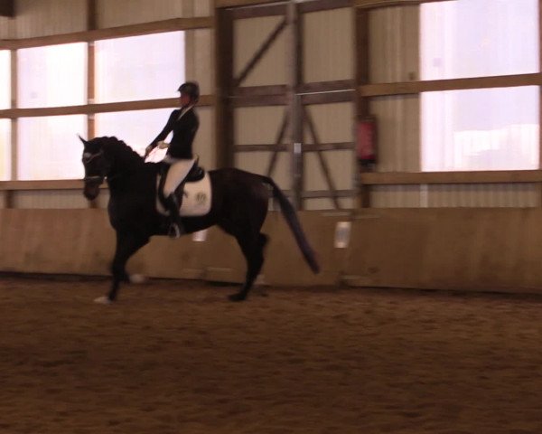 16. Hallen-Dressurturnier Werdohl-Rentrop 2016