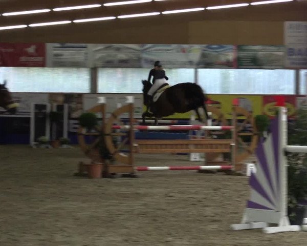 Springturnier Isterberg 2016