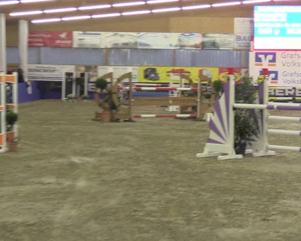 Springturnier Isterberg 2016