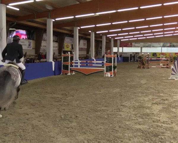 Springturnier Isterberg 2016