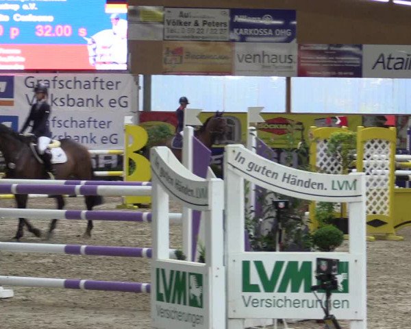 Springturnier Isterberg 2016