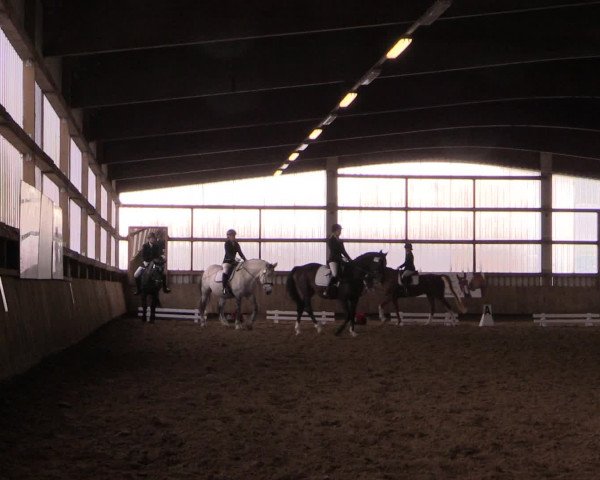 16. Hallen-Dressurturnier Werdohl-Rentrop 2016