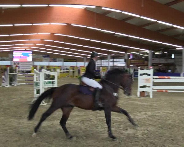 Springturnier Isterberg 2016