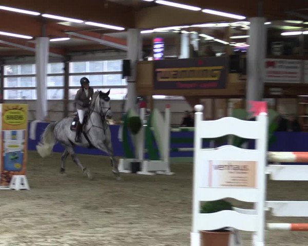 Springturnier Isterberg 2016
