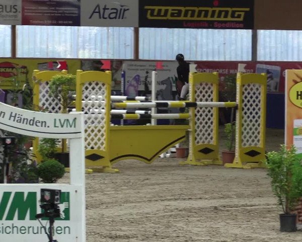 Springturnier Isterberg 2016