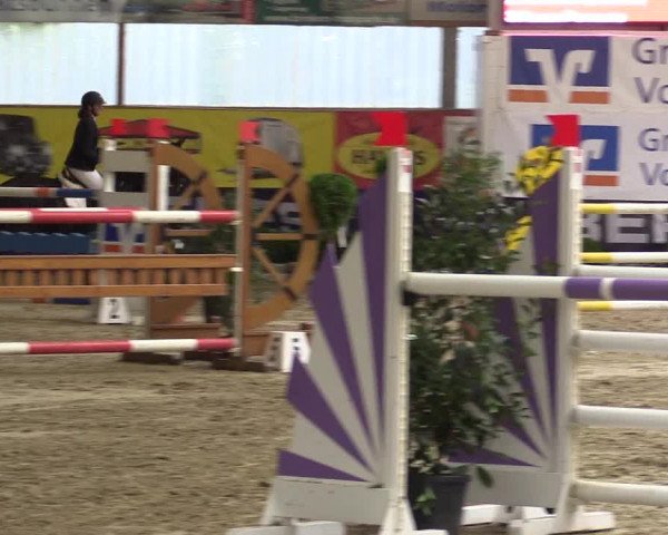 Springturnier Isterberg 2016