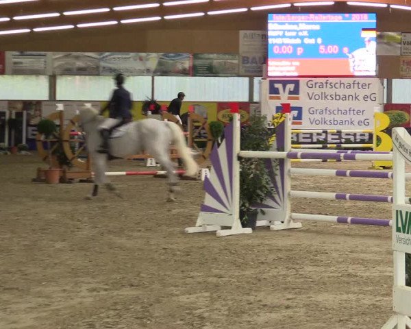 Springturnier Isterberg 2016