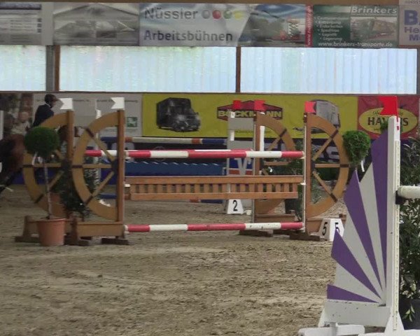 Springturnier Isterberg 2016