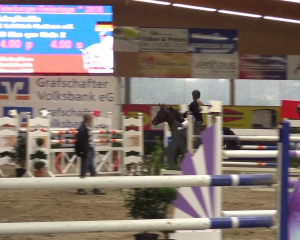 Springturnier Isterberg 2016