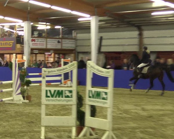 Springturnier Isterberg 2016