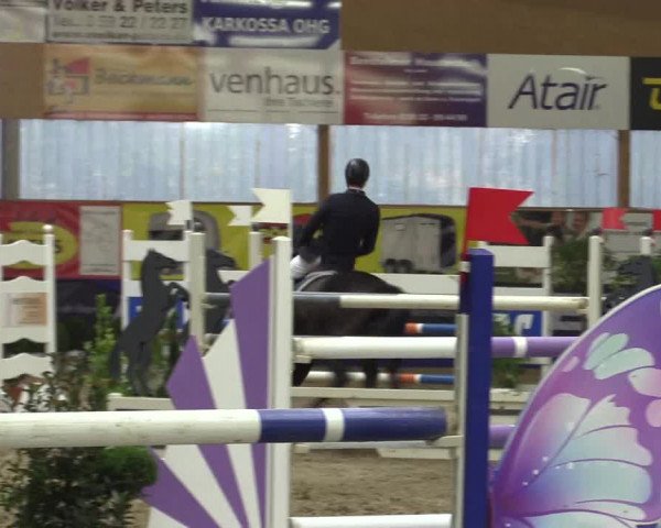 Springturnier Isterberg 2016