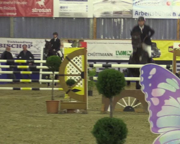 Springturnier Isterberg 2016