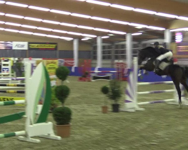 Springturnier Isterberg 2016