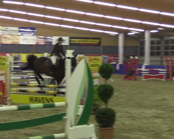 Springturnier Isterberg 2016