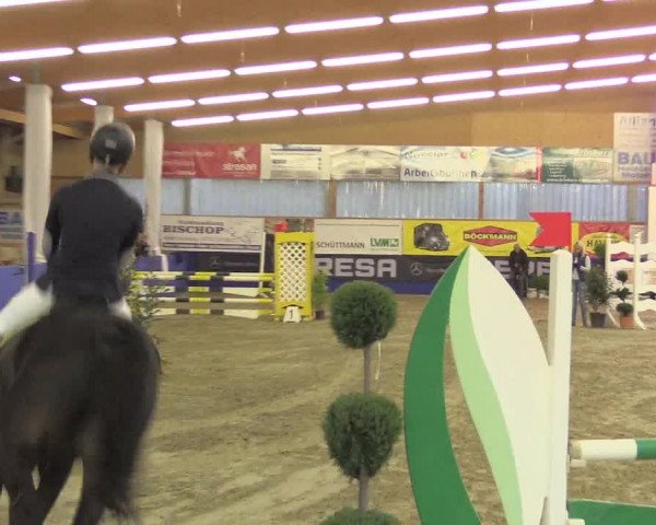 Springturnier Isterberg 2016