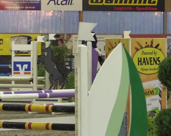 Springturnier Isterberg 2016