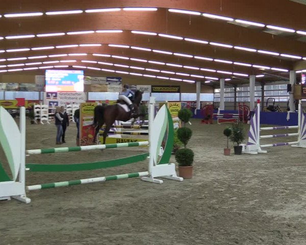 Springturnier Isterberg 2016