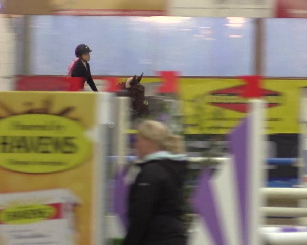 Springturnier Isterberg 2016