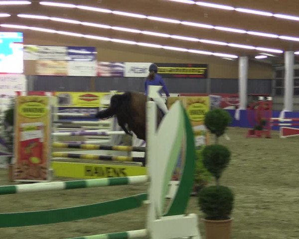 Springturnier Isterberg 2016