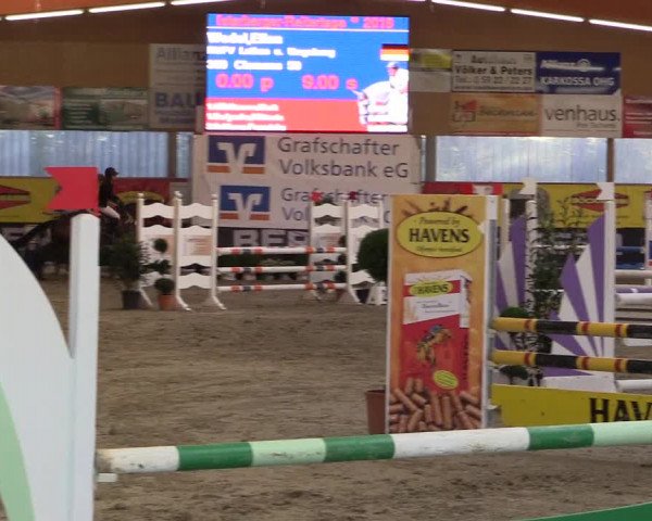 Springturnier Isterberg 2016