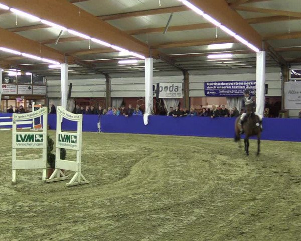 Springturnier Isterberg 2016