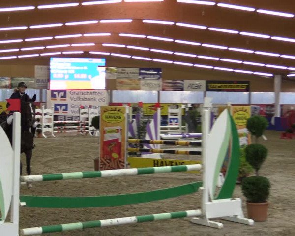 Springturnier Isterberg 2016