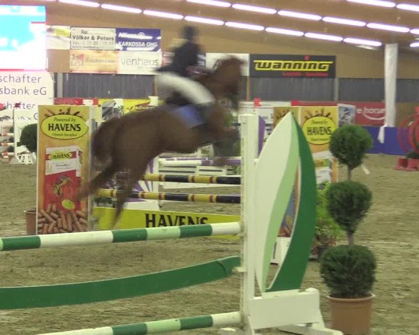 Springturnier Isterberg 2016