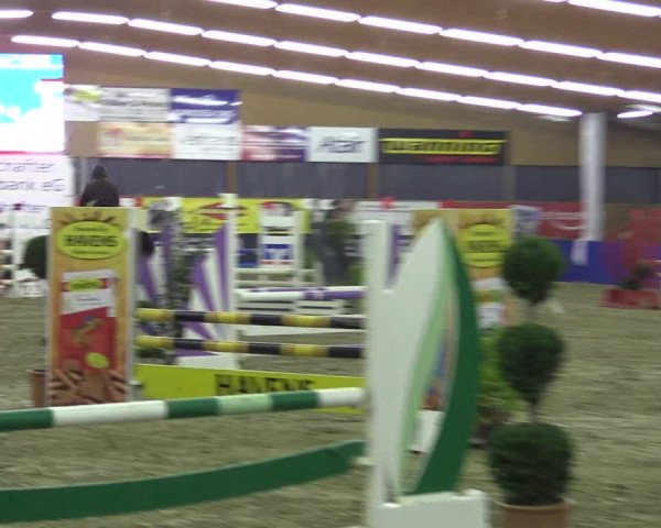 Springturnier Isterberg 2016