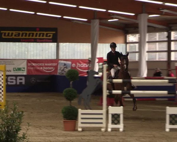 Springturnier Isterberg 2016