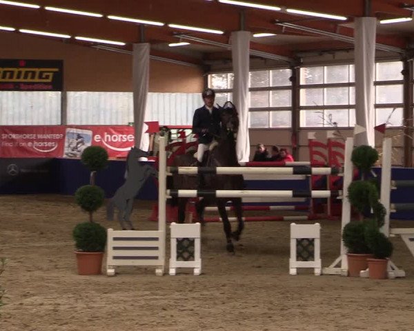 Springturnier Isterberg 2016