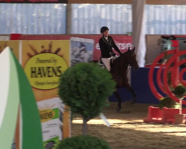 Springturnier Isterberg 2016