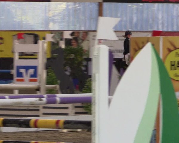 Springturnier Isterberg 2016