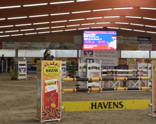 Springturnier Isterberg 2016