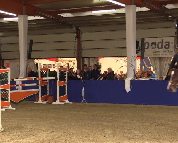 Springturnier Isterberg 2016