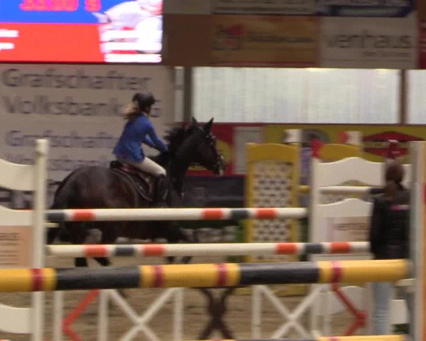 Springturnier Isterberg 2016