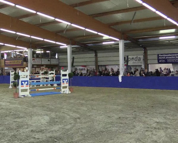 Springturnier Isterberg 2016