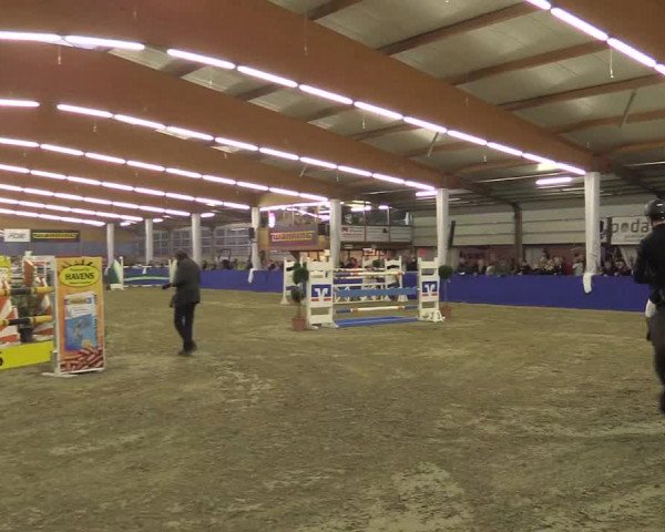 Springturnier Isterberg 2016