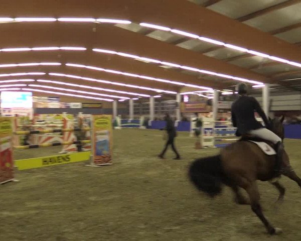 Springturnier Isterberg 2016