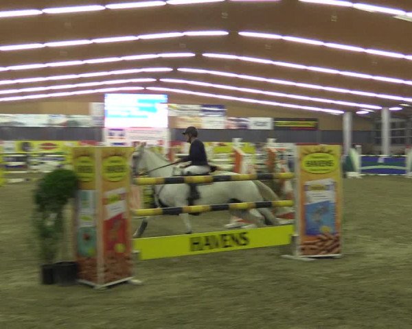 Springturnier Isterberg 2016