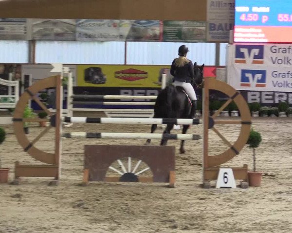 Springturnier Isterberg 2016